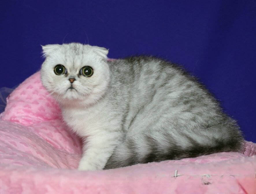 Photo 2025 11 14 17 31 06 5