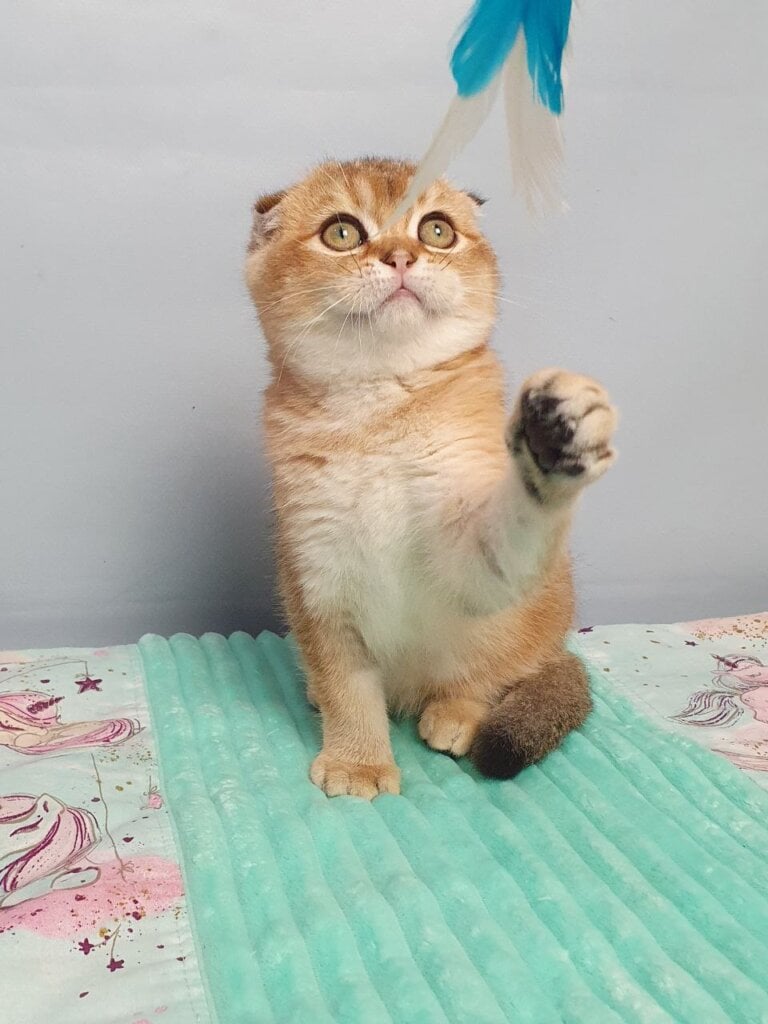 Photo 2025 11 11 18 36 55 2