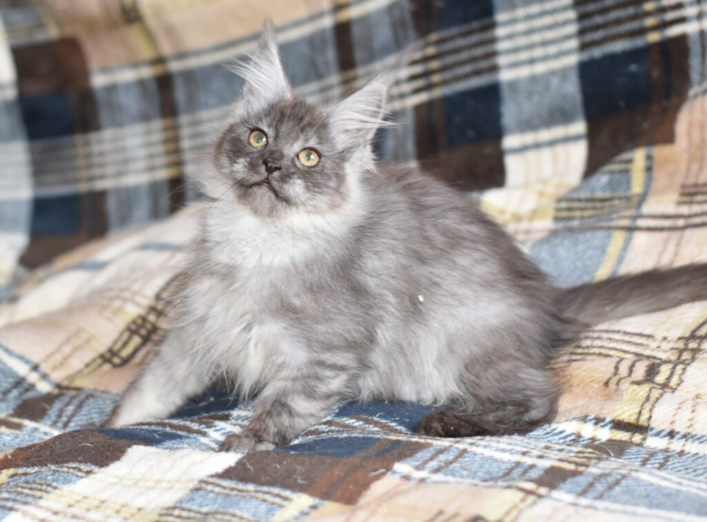 Photo 2025 11 22 06 59 16 2