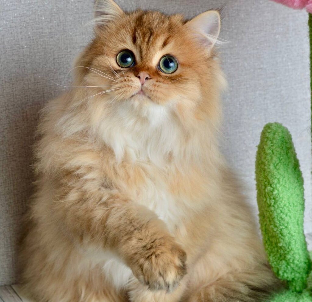 Photo 2025 12 05 18 36 36