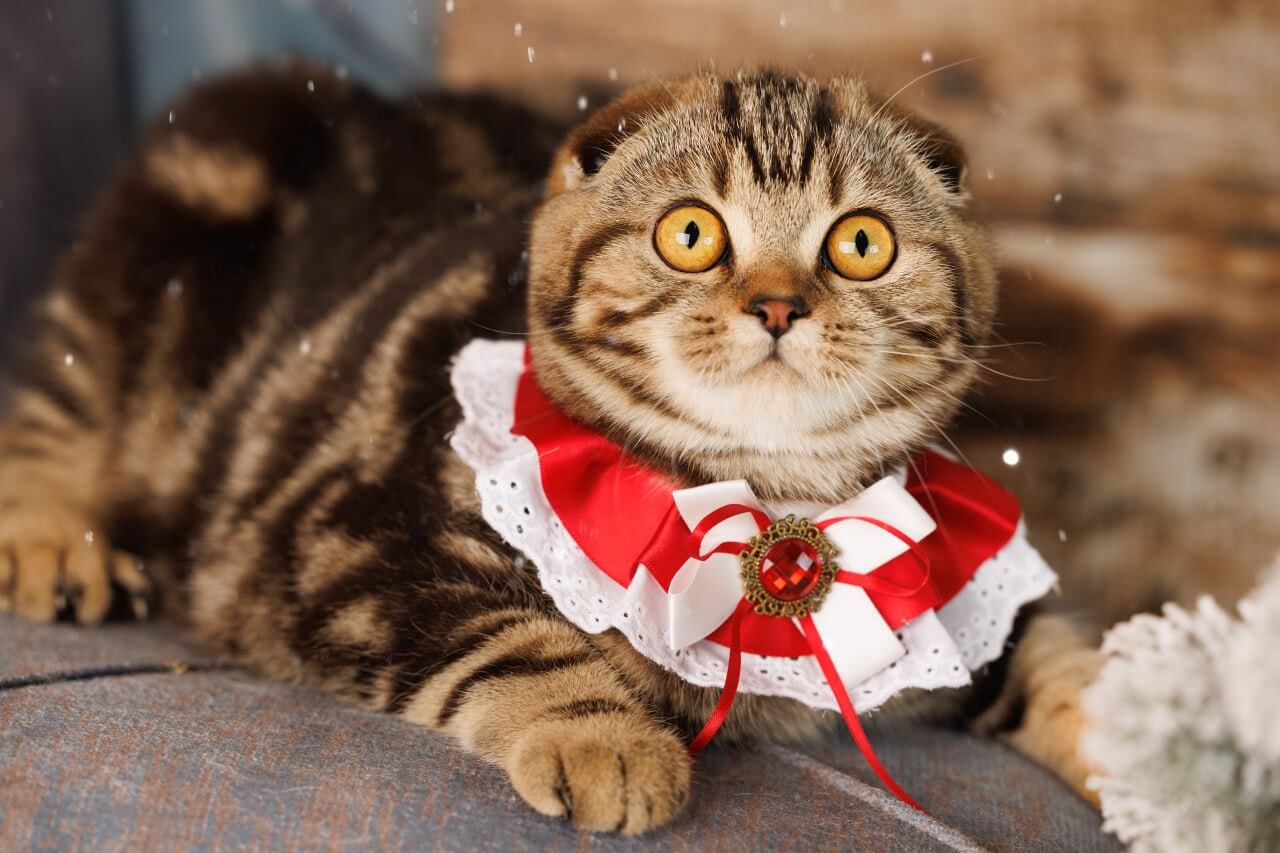 Photo 2025 12 22 12 24 03 2