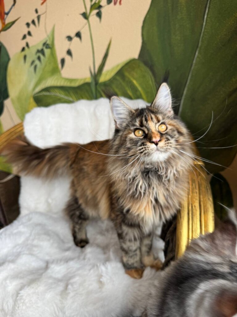 Photo 2026 01 03 13 53 38