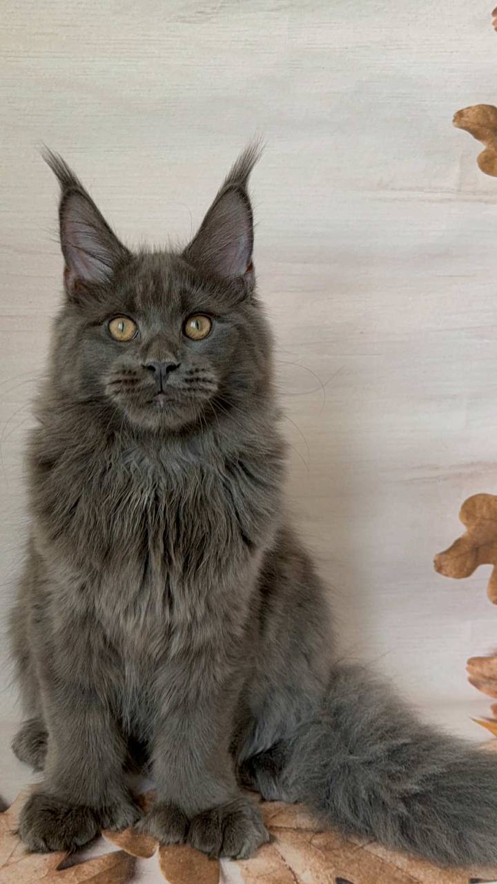 Photo 2025 11 06 22.02.00