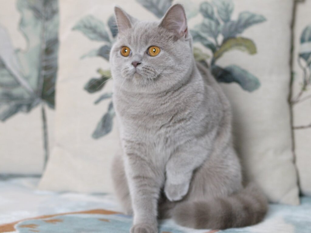 Photo 2025 11 26 21 53 10 2