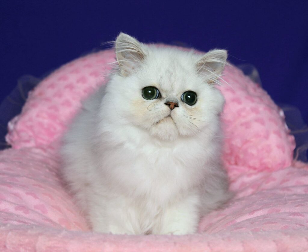 Photo 2025 12 02 16 39 39