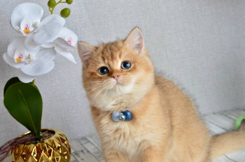 Photo 2025 12 05 17 47 57