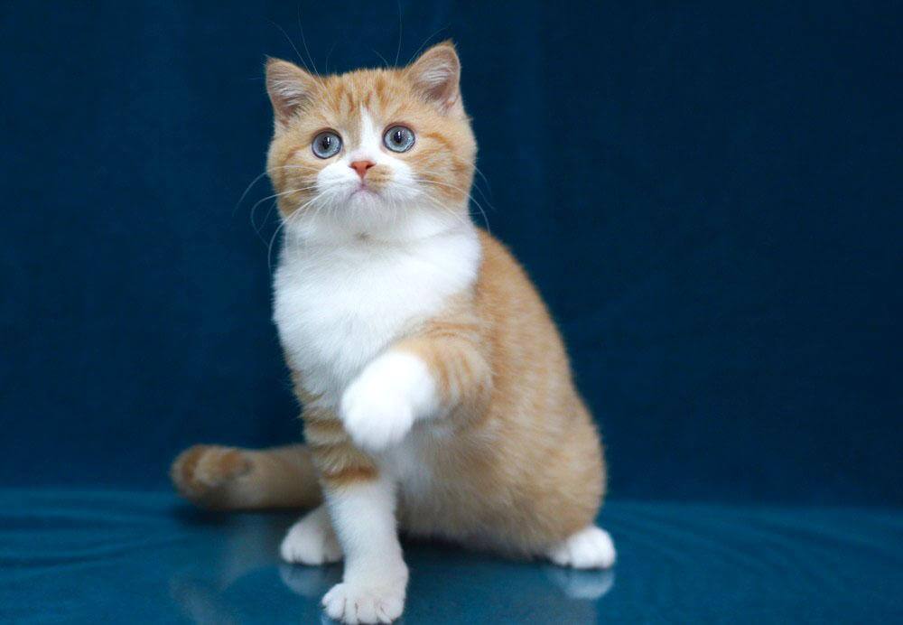 Photo 2025 12 17 16 20 31