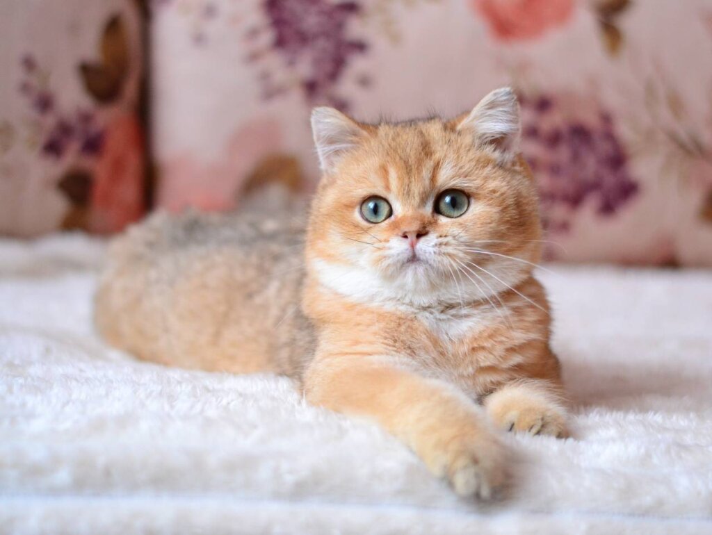 Photo 2026 01 07 10.23.59