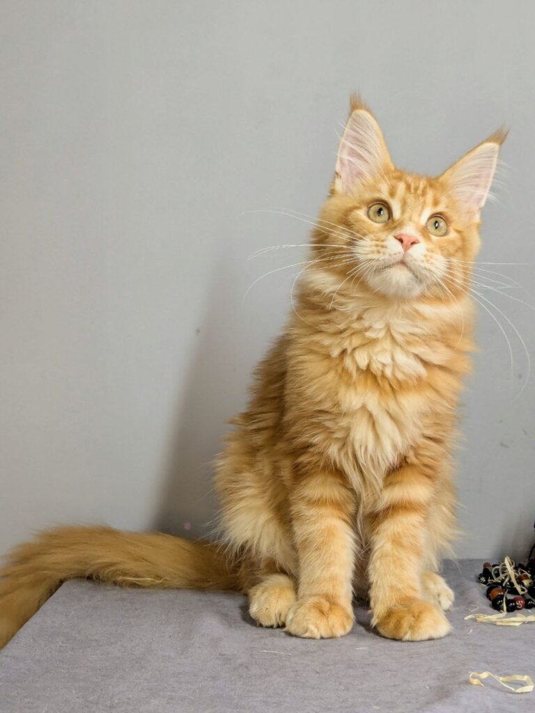 Photo 2026 01 07 20 08 18