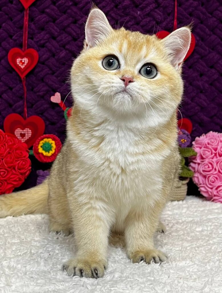 Photo 2026 01 16 16 26 04