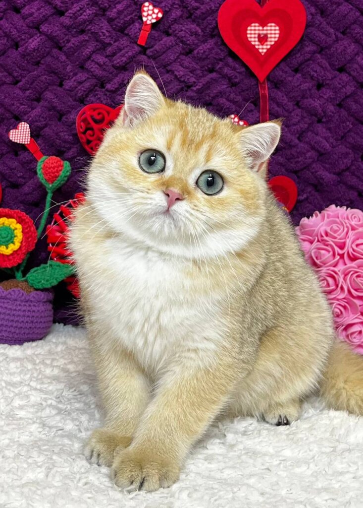 Photo 2026 01 16 22 48 02