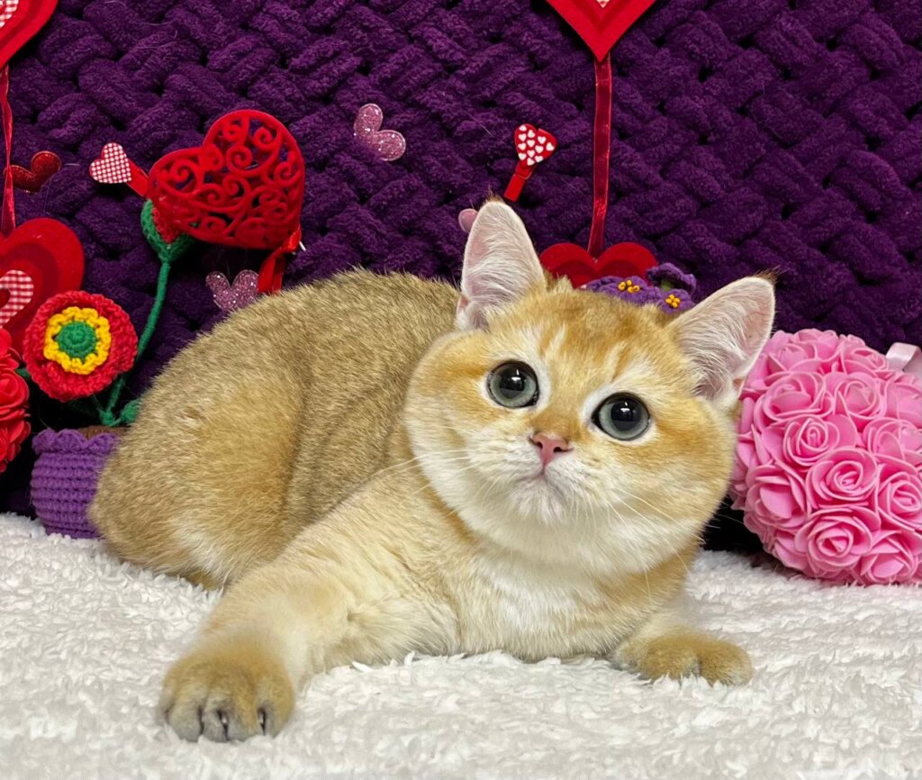 Photo 2026 01 16 22 56 40