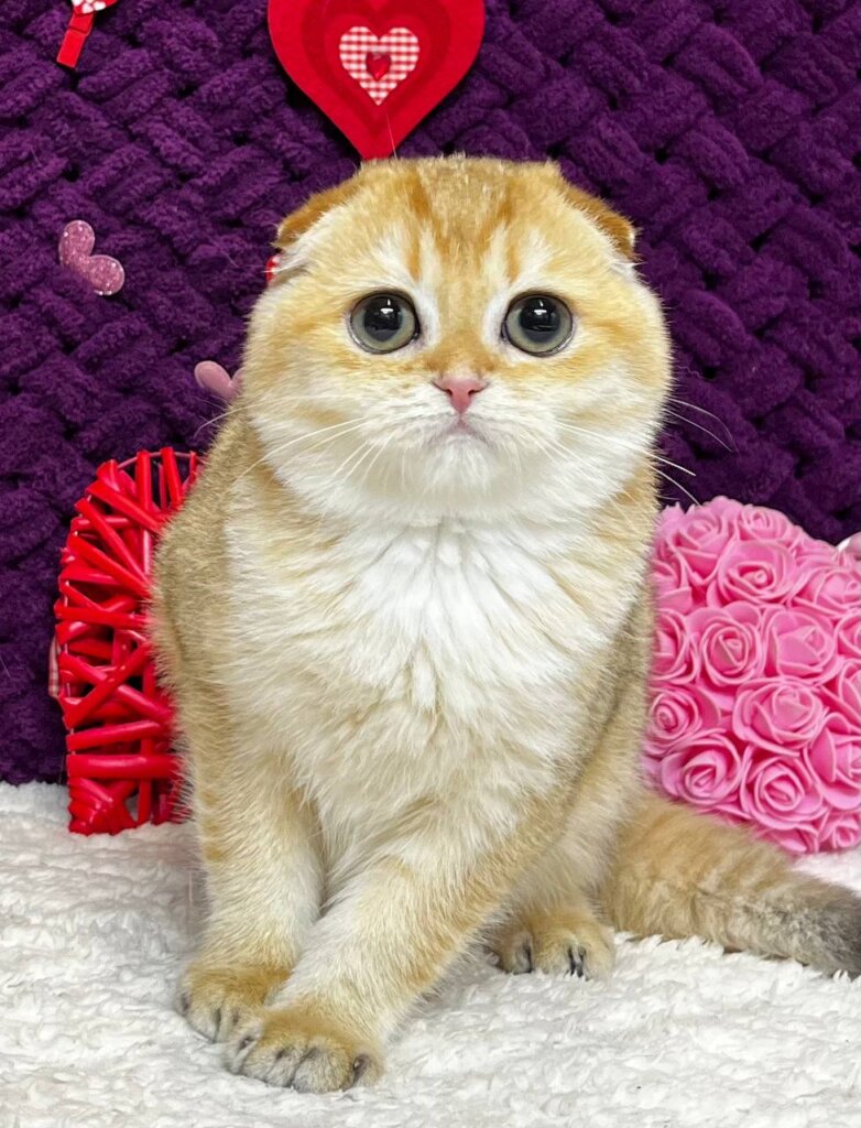 Photo 2026 01 16 23 00 13