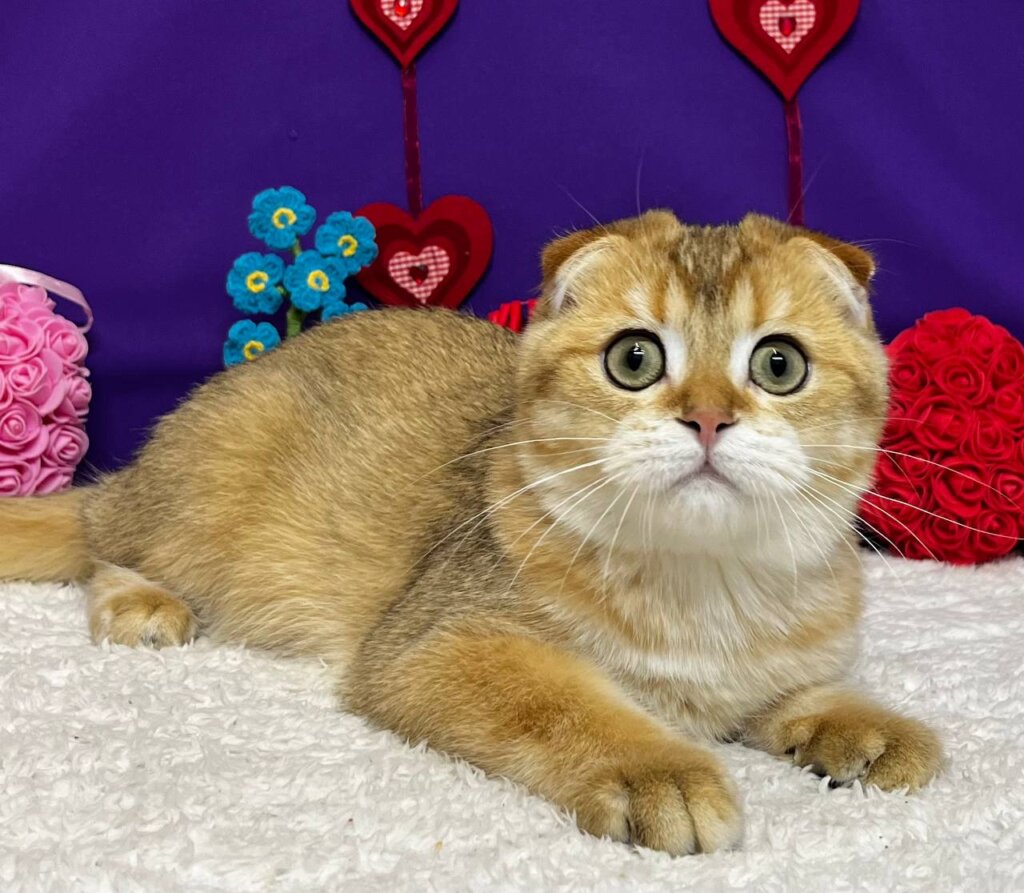 Photo 2026 01 21 19 43 09