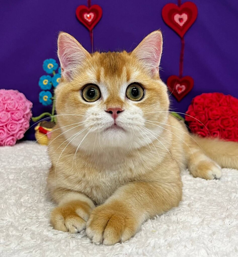 Photo 2026 01 21 19 49 43