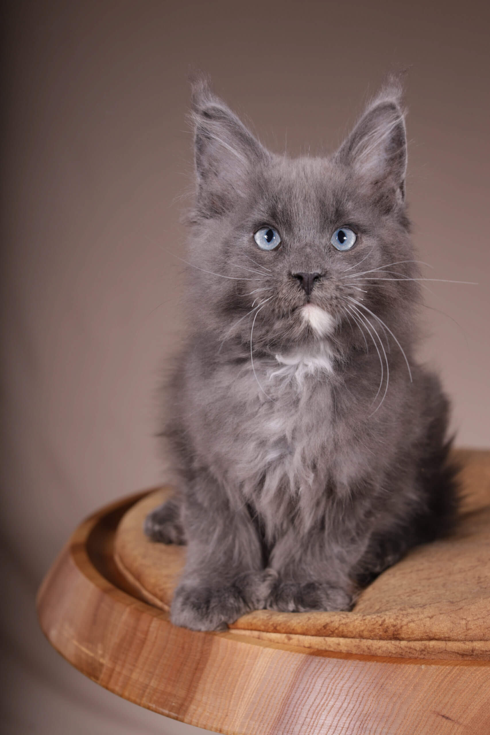 Img 8204 копия 2