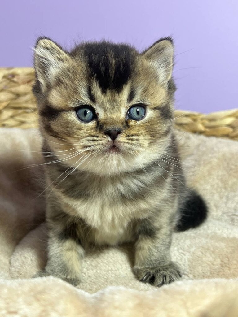 Photo 2025 10 01 12 16 18 2