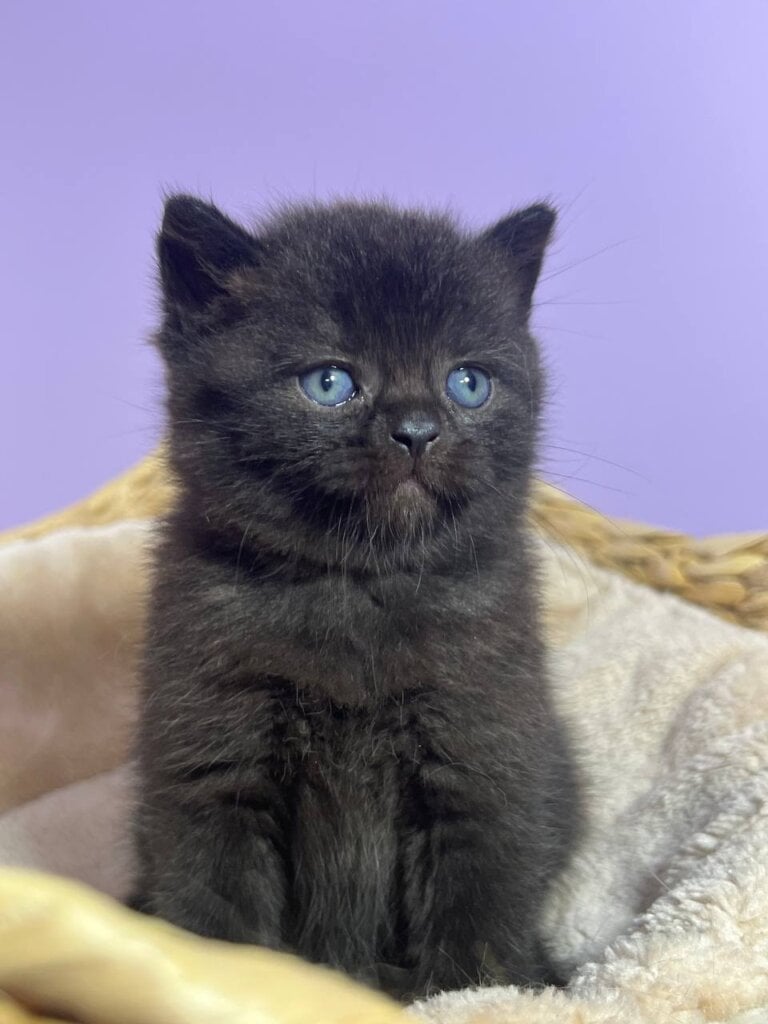 Photo 2025 10 01 12 18 13 2