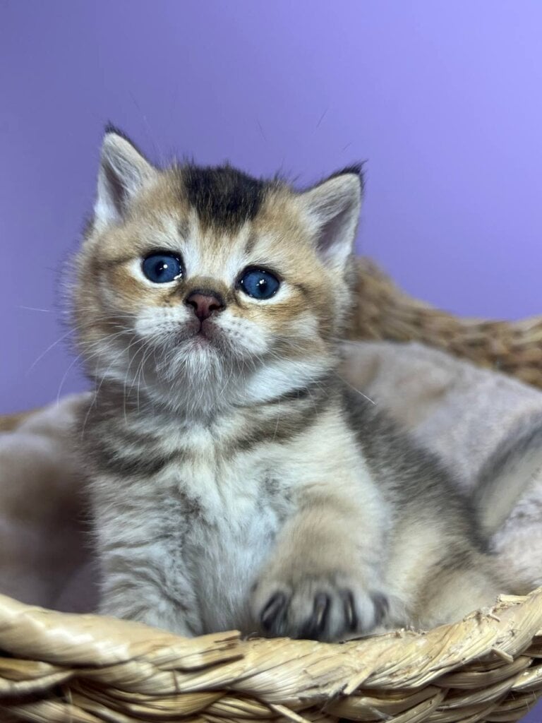 Photo 2025 10 01 12 20 39