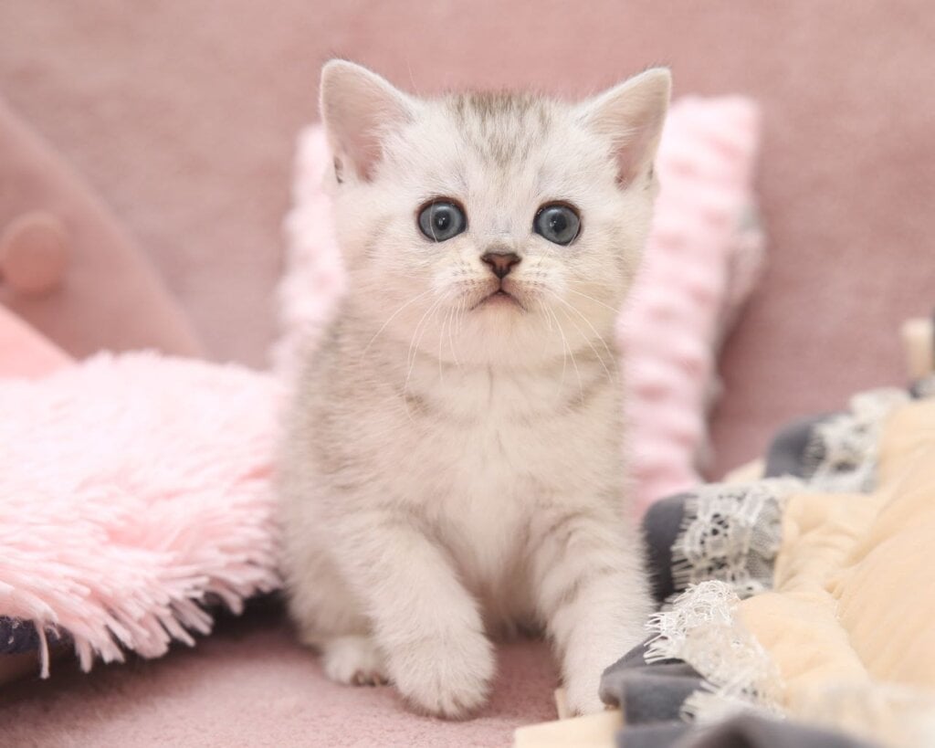 Photo 2025 10 10 15 20 31