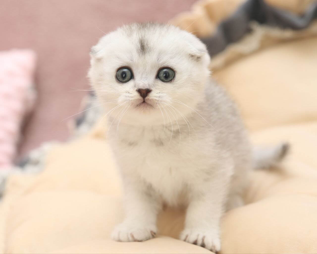 Photo 2025 10 11 10 56 59