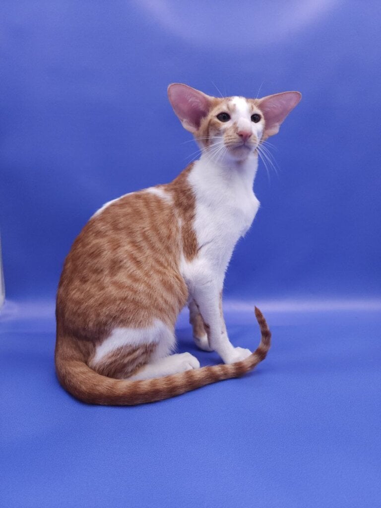 Photo 2025 10 25 21 35 16