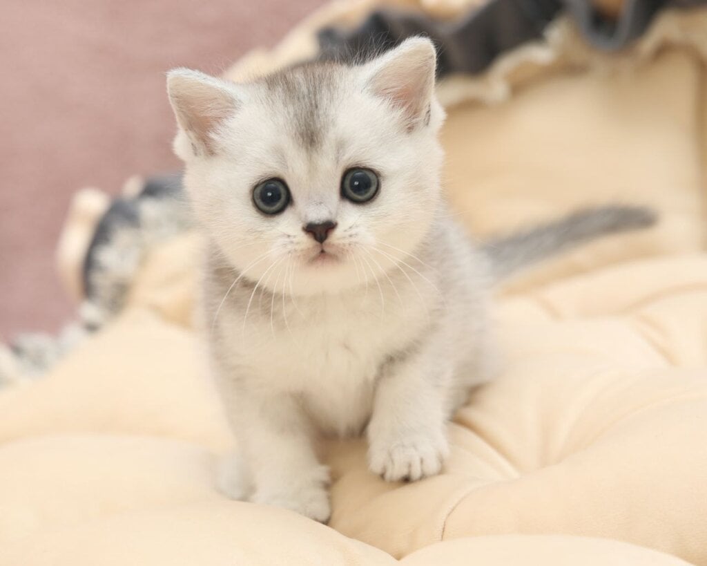 Photo 2025 10 27 07 57 04 3