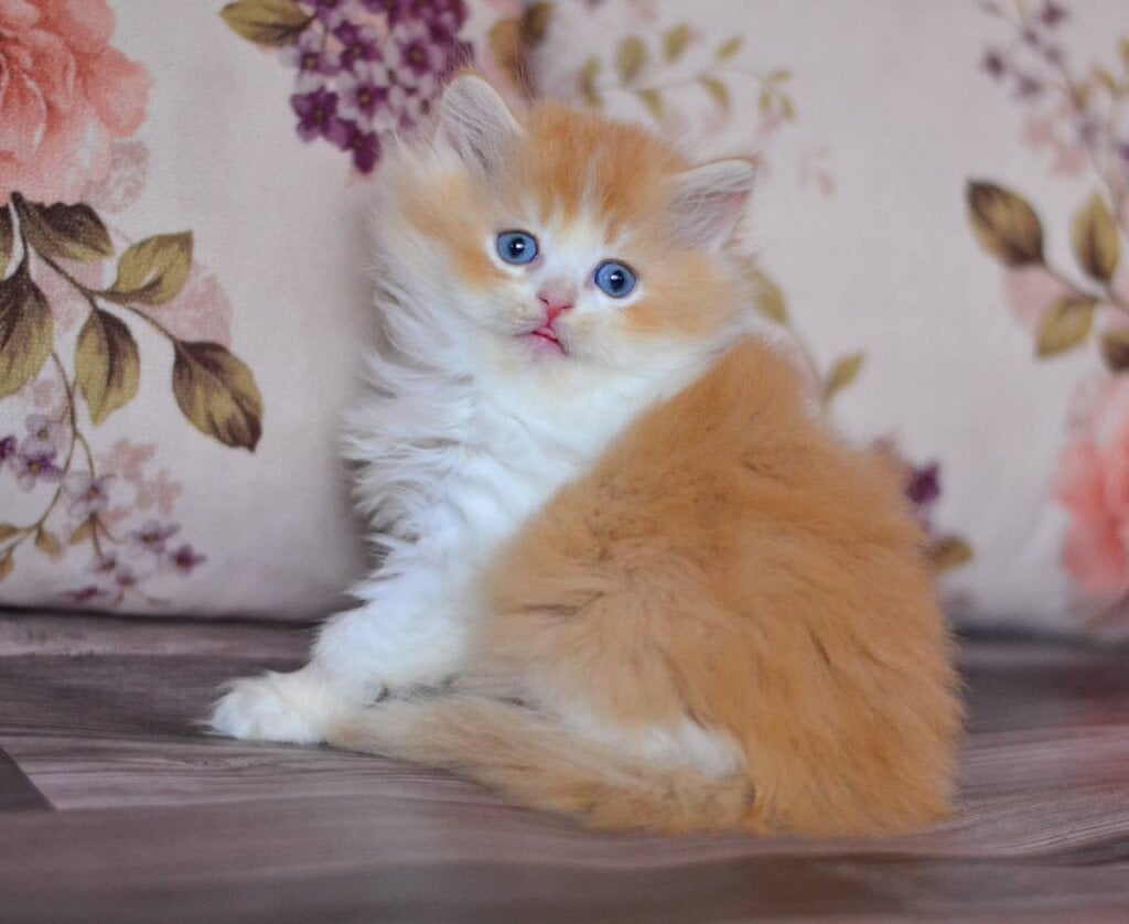 Photo 2025 10 27 22 25 13 2