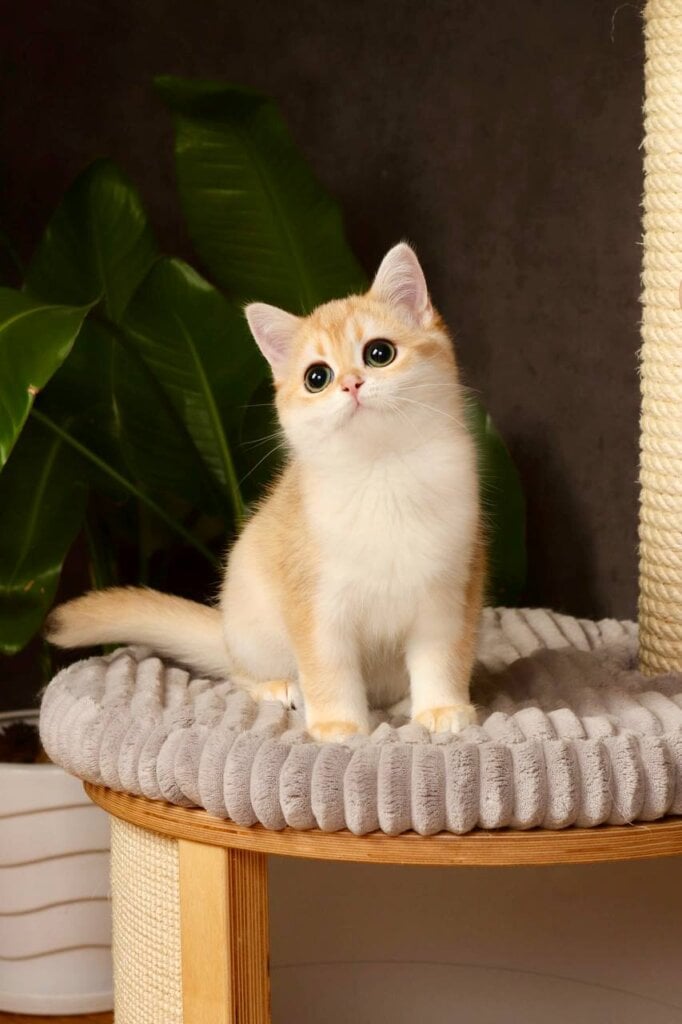 Photo 2025 10 28 23 44 54