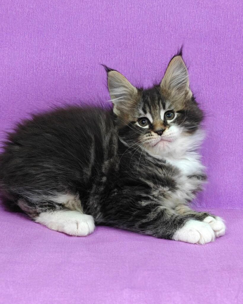 Photo 2025 10 30 22 07 12 2