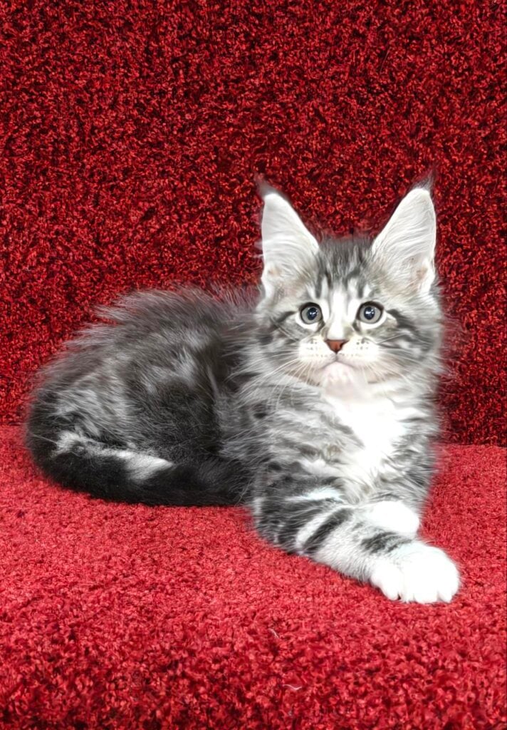 Photo 2025 10 30 22 11 35 4 1