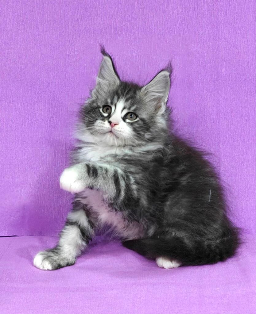 Photo 2025 10 30 22 15 14