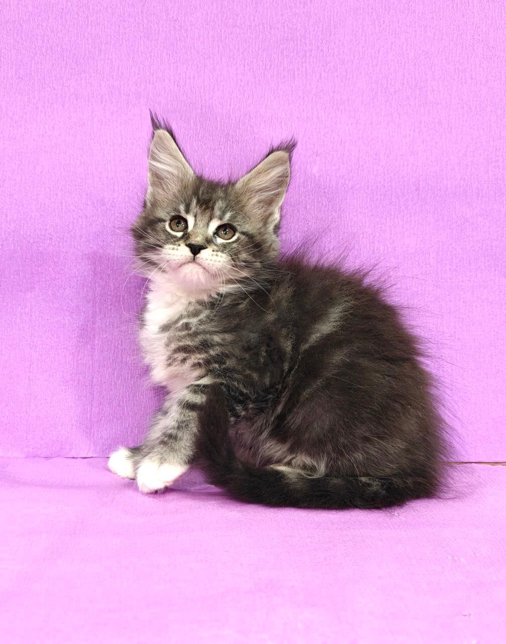 Photo 2025 10 30 22 18 19 3