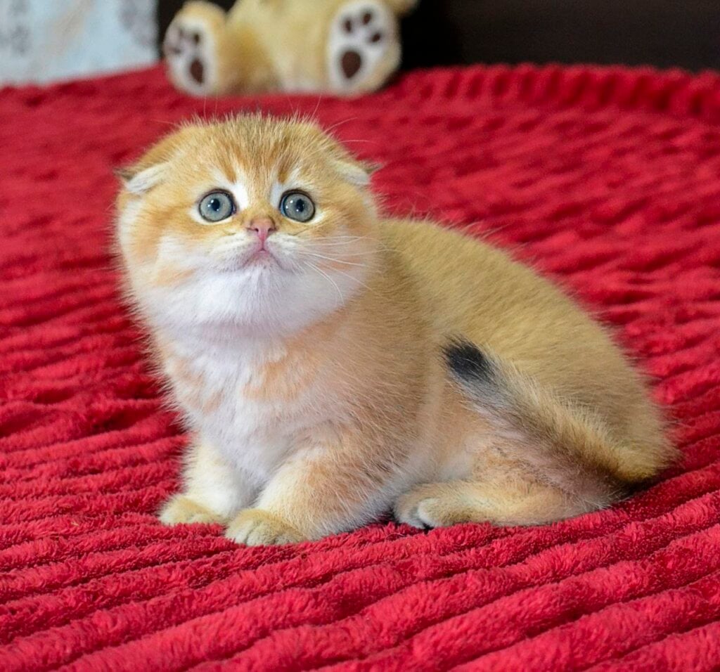 Photo 2025 10 31 10 03 18 3