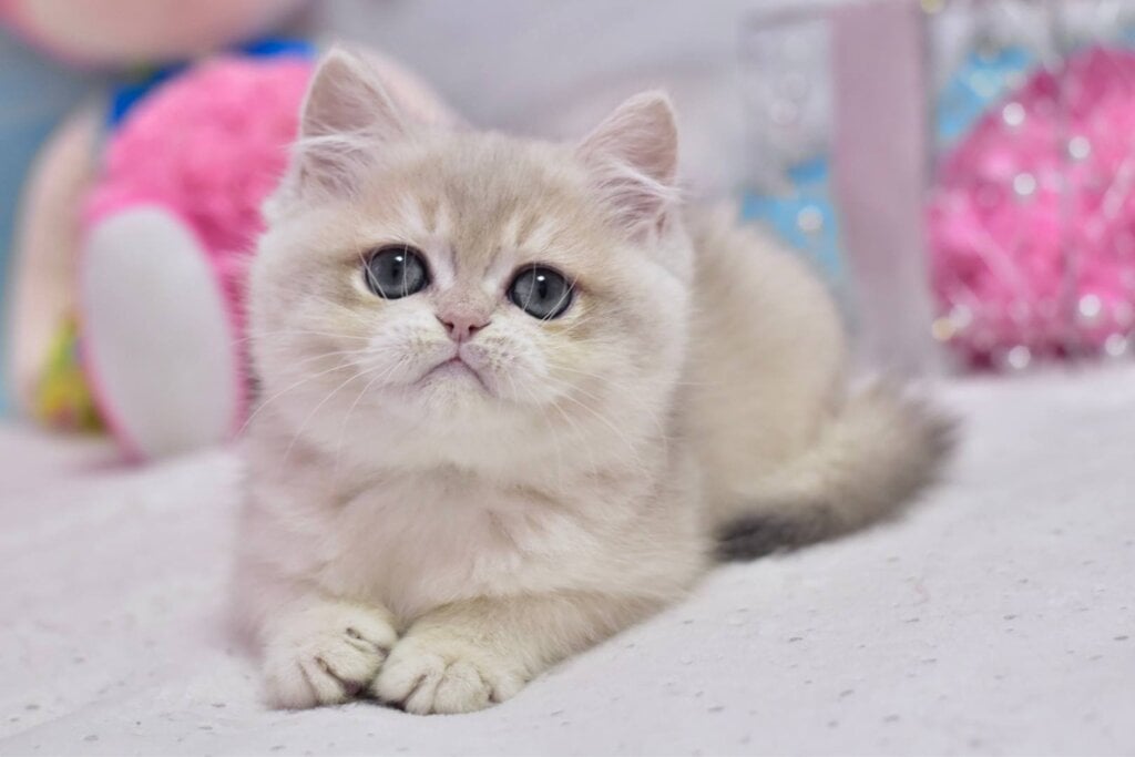 Photo 2025 10 31 13 12 57 2