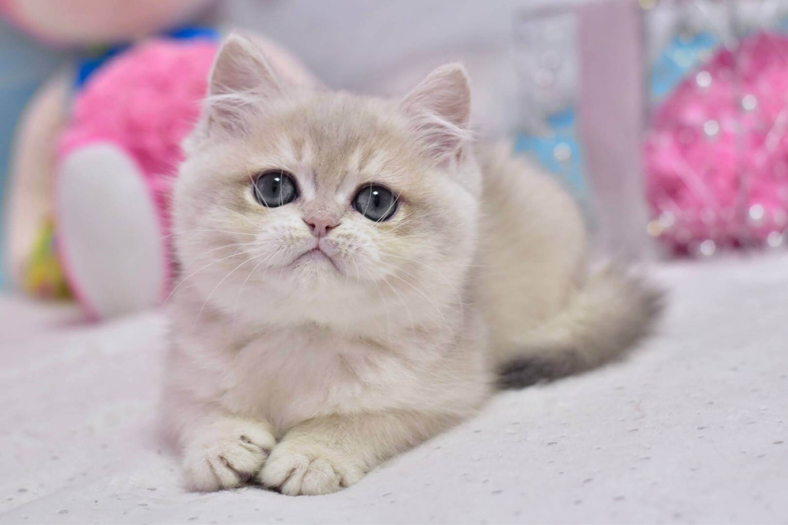 Photo 2025 10 31 13 12 57 2