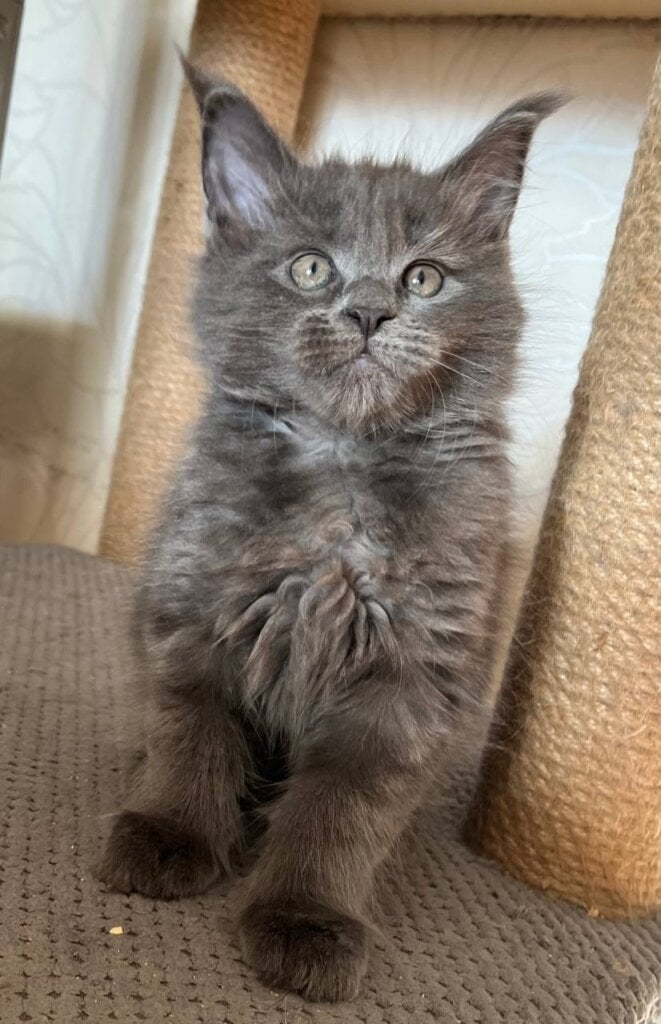 Photo 2025 10 31 14 37 03