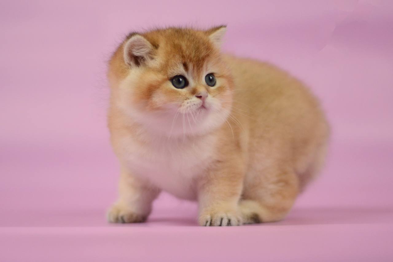 Photo 2025 10 31 15 16 05