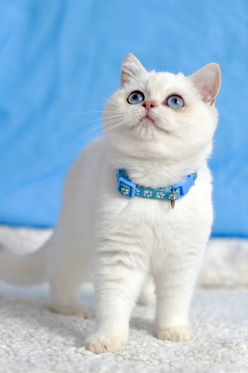 Photo 2025 10 31 17 02 15 3