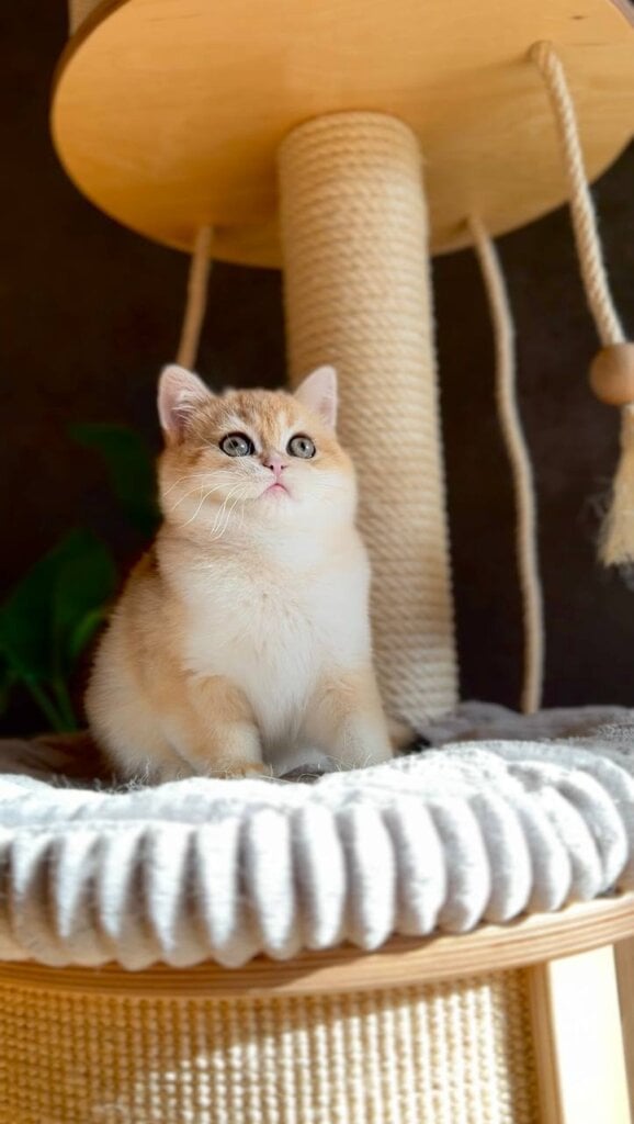 Photo 2025 10 31 17 29 27