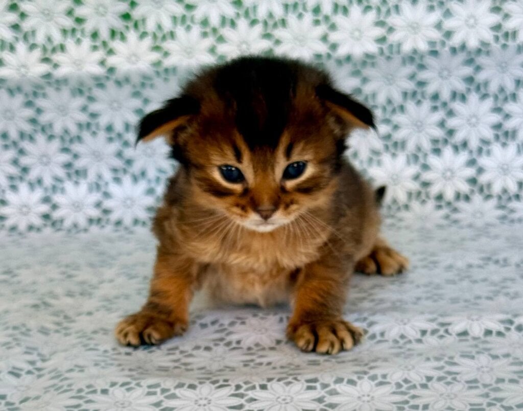 Photo 2025 11 01 16 14 05 2