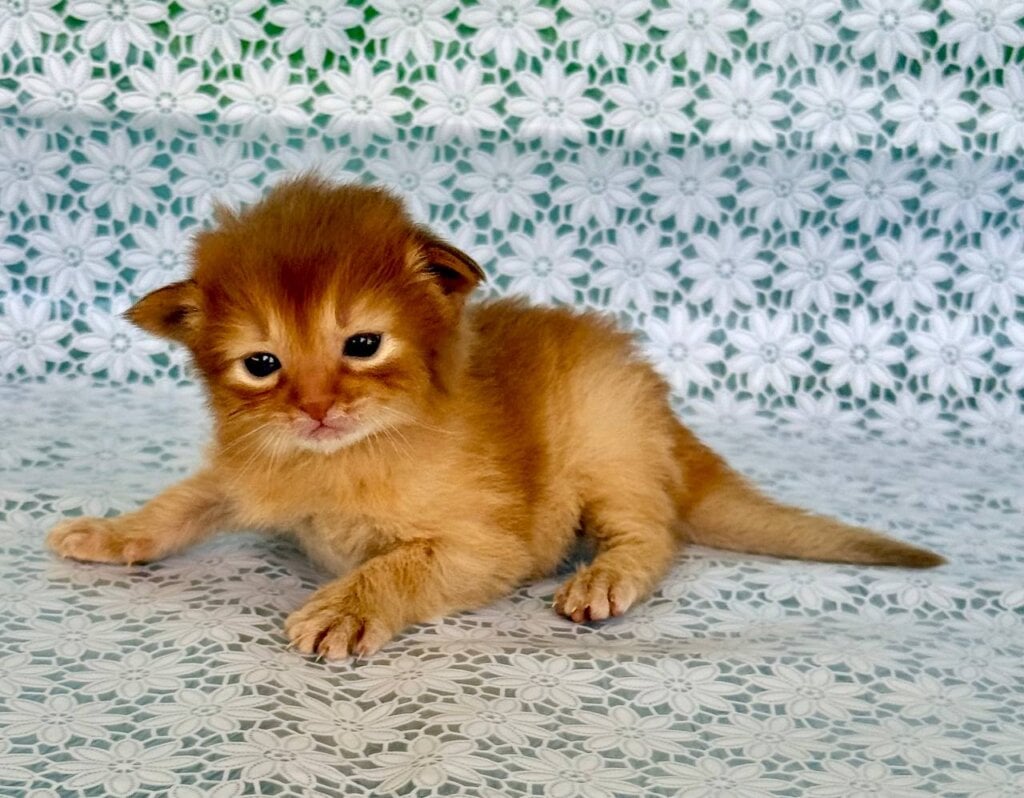 Photo 2025 11 01 16 15 53