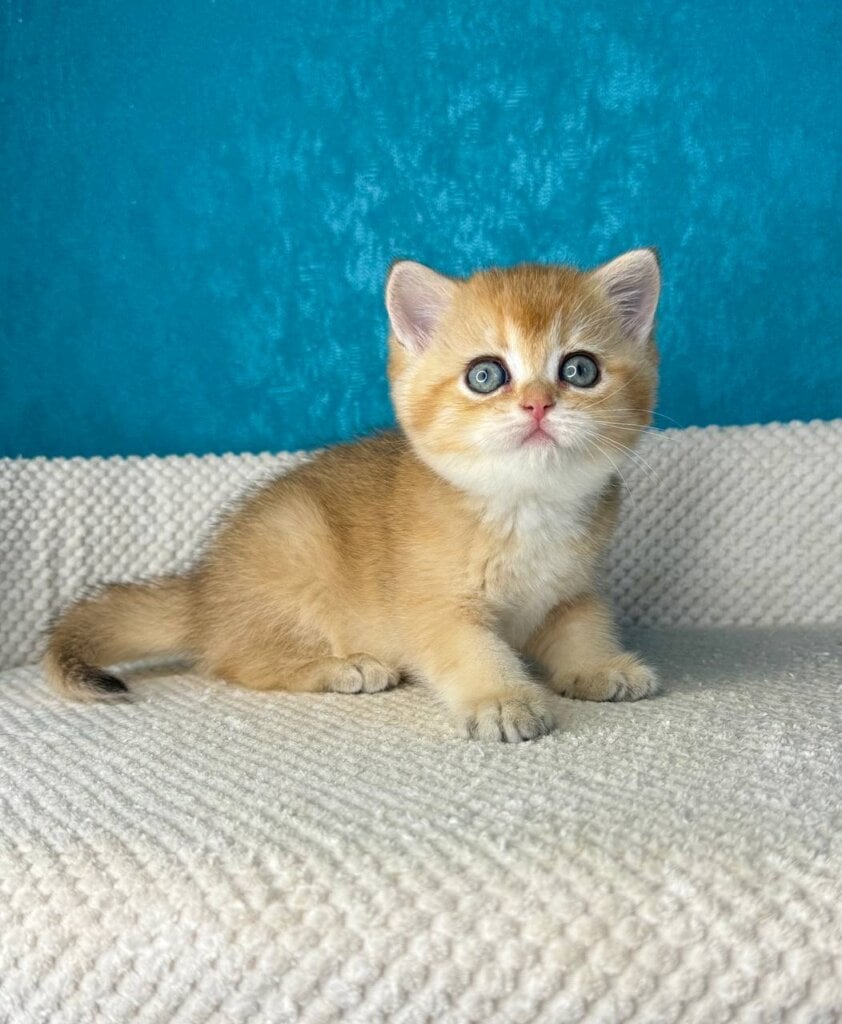 Photo 2025 11 01 17 20 32 2