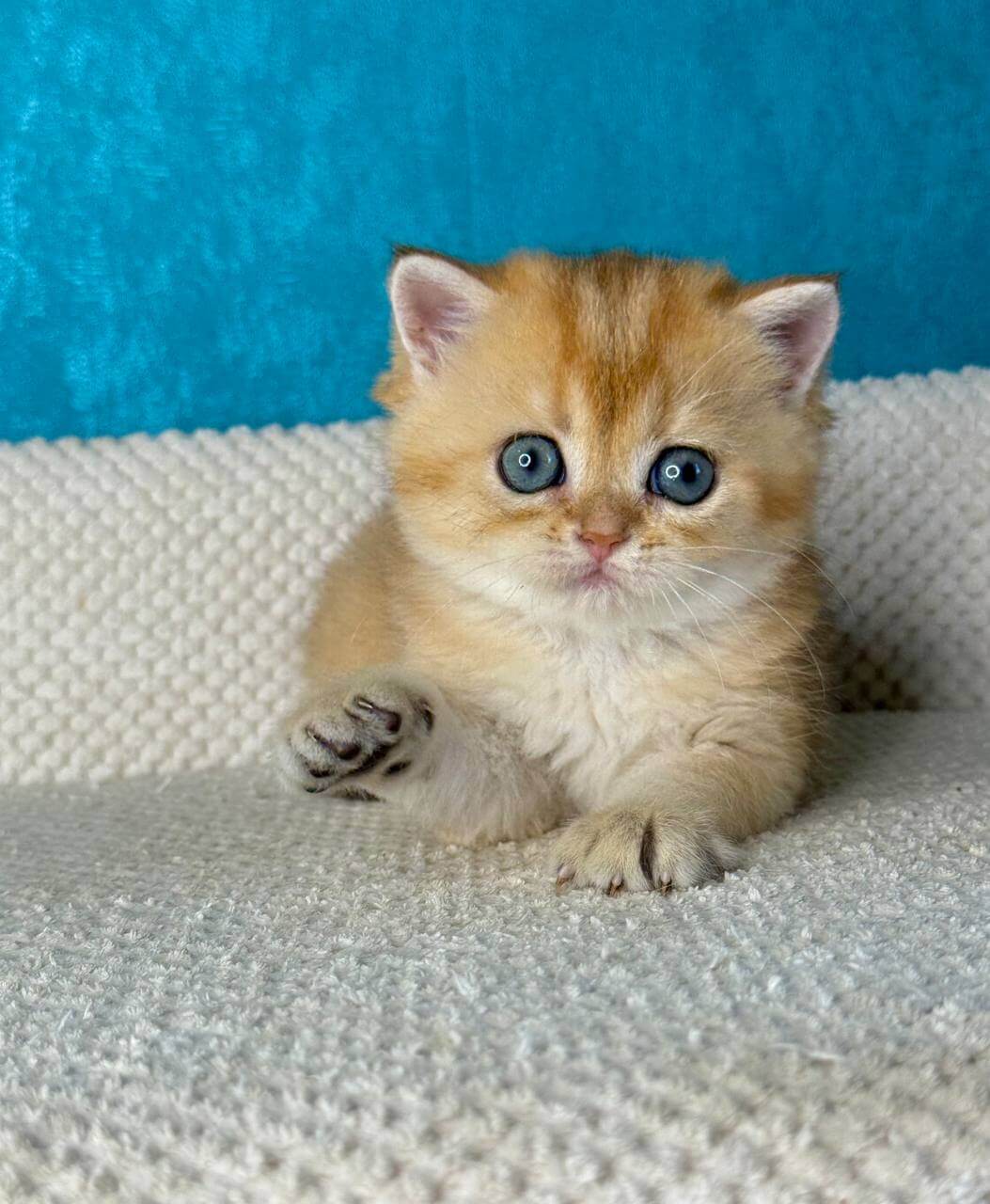 Photo 2025 11 01 18 12 27