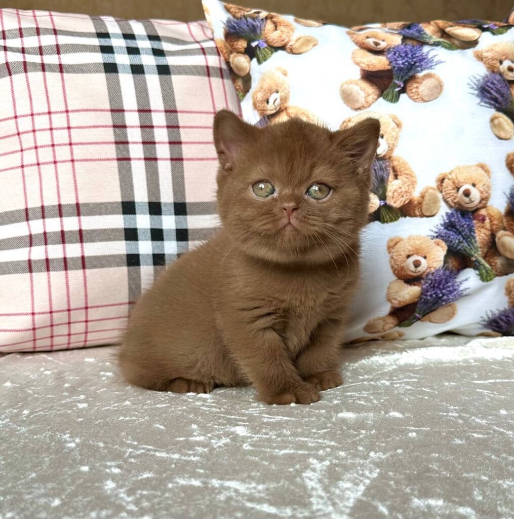 Photo 2025 11 02 12 57 40