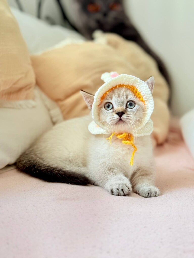 Photo 2025 11 02 15 15 12