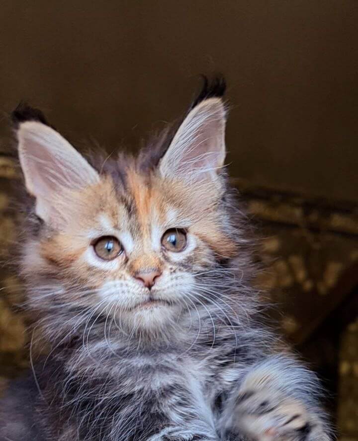 Photo 2025 11 03 10 10 52 1