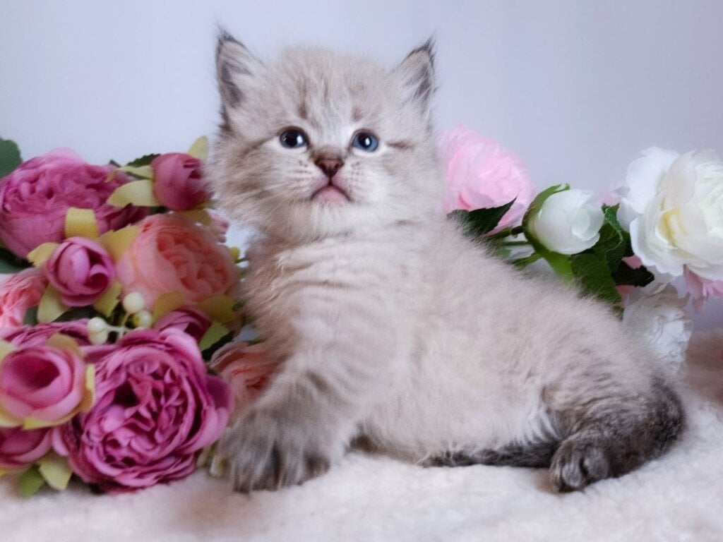 Photo 2025 11 03 15 17 36 2