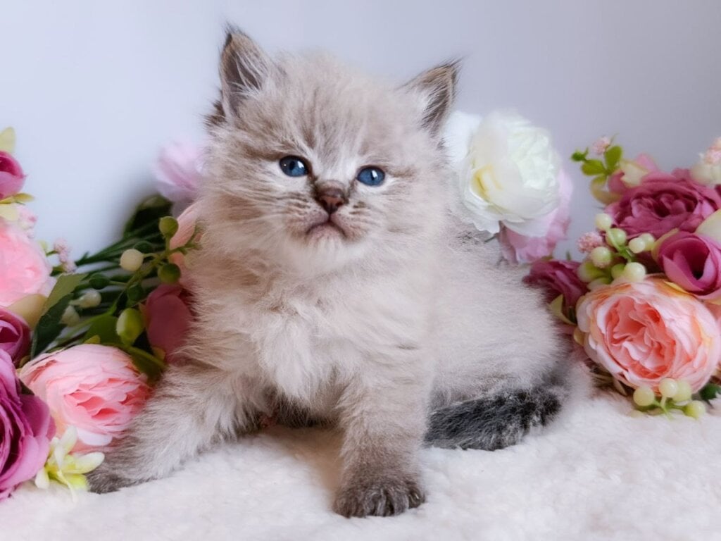 Photo 2025 11 03 15 20 32