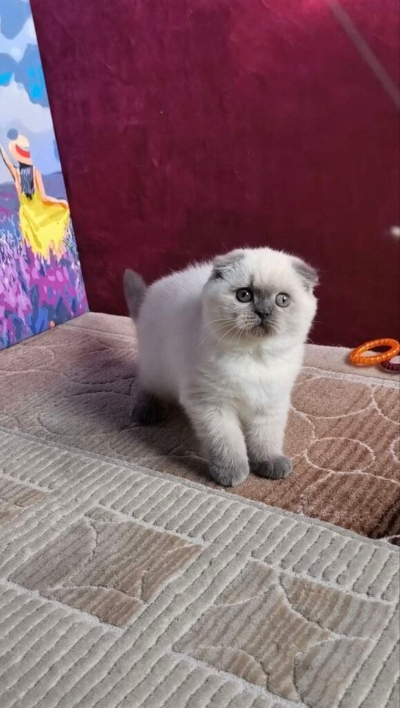 Photo 2025 11 03 21 10 25